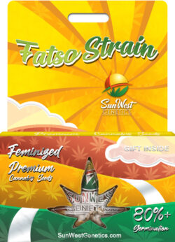 Fatso Strain Feminized