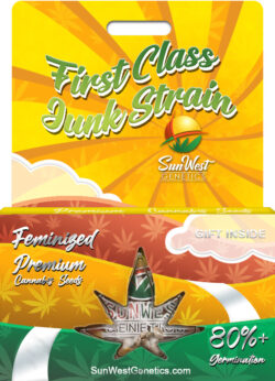 First Class Funk Strain Feminized