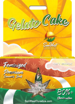Gelato Cake Strain Feminized