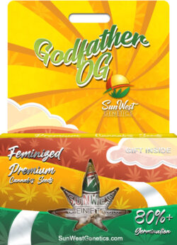 Godfather OG Strain Feminized