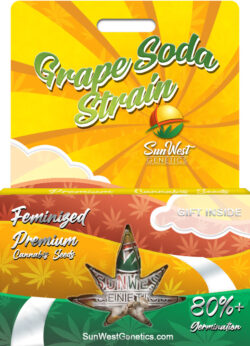 Grape Soda Strain Feminized