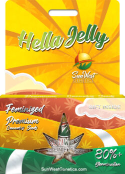 Hella Jelly Strain Feminized