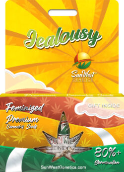 Jealousy Strain Feminized