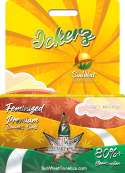 Jokerz Strain Feminized