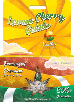 Lemon Cherry Gelato Strain Feminized