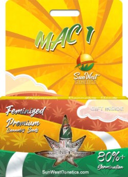 Mac 1 Strain Feminized
