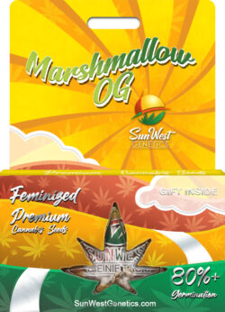Marshmallow OG Strain Feminized