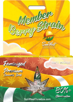 Member Berry Strain Feminized
