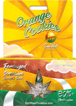 Orange Cookies Strain Feminized