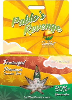 Pablo’s Revenge Strain Feminized