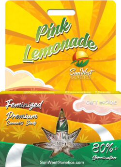 Pink Lemonade Strain Feminized