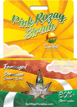 Pink Rozay Strain Feminized