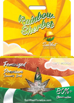 Rainbow Sherbet Strain Feminized