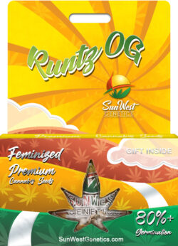 Runtz OG Strain Feminized