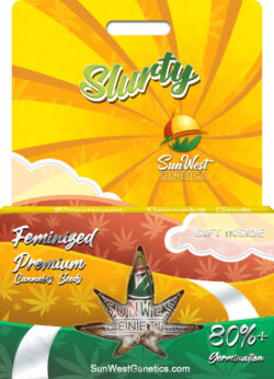 Slurty Strain Feminized