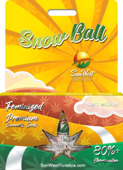 Snowball Weed Strain Feminized