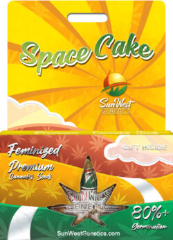 Space Cake Strain Feminized