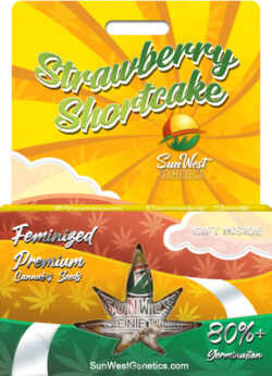 Strawberry Shortcake Strain Feminized