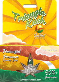 Triangle Kush Feminized