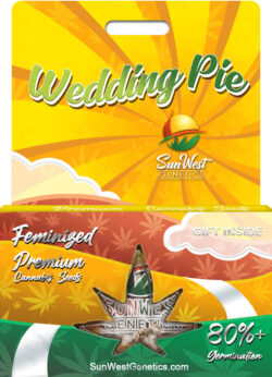 Wedding Pie Strain Feminized