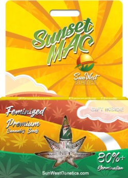 Sunset MAC Strain Feminized