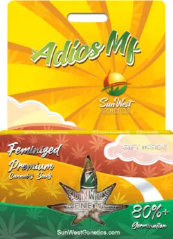 Adios MF Strain Feminized