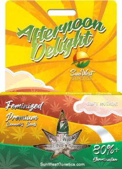 Afternoon Delight Strain Feminized