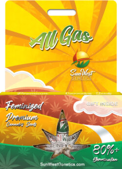 All Gas Strain Feminized