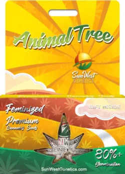 Animal Tree Strain Feminized