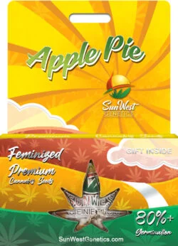 Apple Pie Strain Feminized