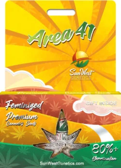 Area 41 Strain Feminized