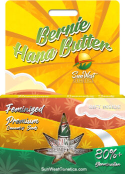 Bernie Hana Butter Strain Feminized