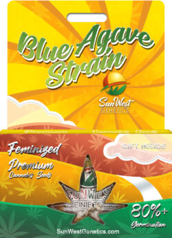 Blue Agave Strain Feminized