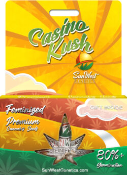 Casino Kush Feminized