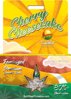 Cherry Cheesecake Strain Feminized