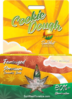 Cookie Dough Strain Feminized