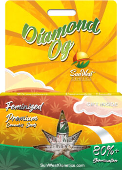 Diamond OG Strain Feminized