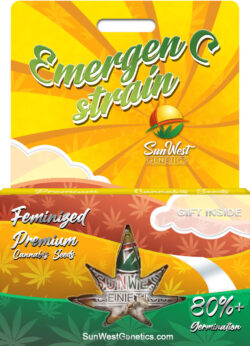 Emergen C Strain Feminized