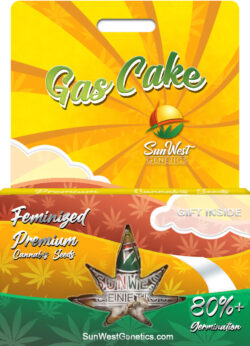 Gas Cake Strain Feminized