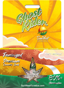 Ghost Rider Strain Feminized