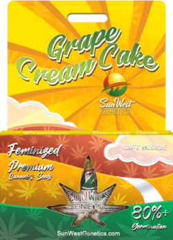 Grape Cream Cake Strain Feminized