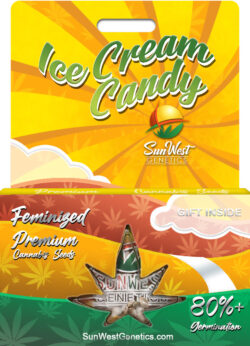 Ice Cream Candy Strain Feminized