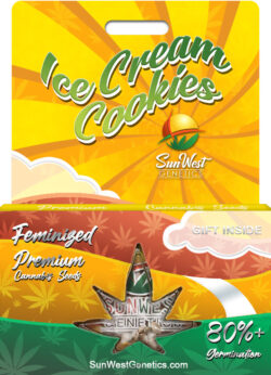 Ice Cream Cookies Strain Feminized