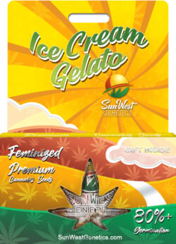 Ice Cream Gelato Strain Feminized