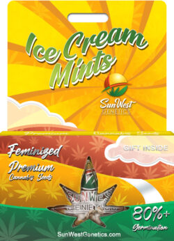 Ice Cream Mints Strain Feminized