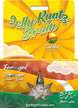 Jelly Runtz Strain Feminized