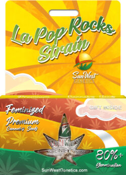 La Pop Rocks Strain Feminized