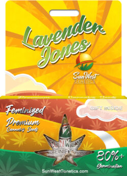 Lavender Jones Strain Feminized
