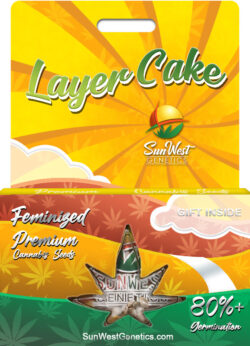 Layer Cake Strain Feminized