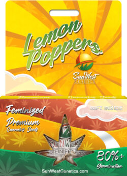 Lemon Poppers Strain Feminized